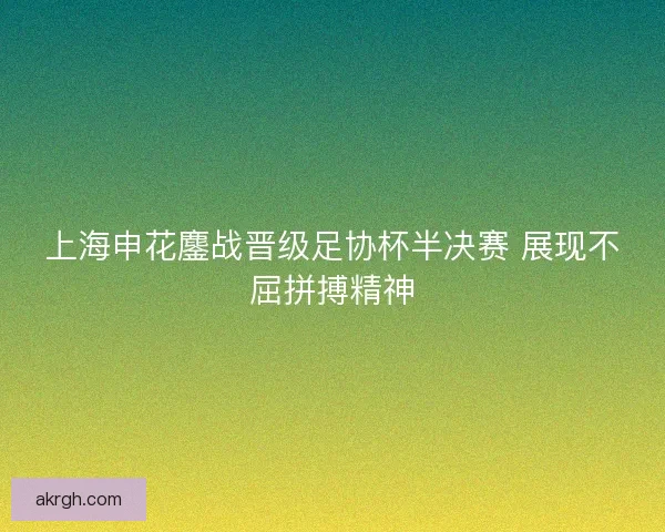 上海申花鏖战晋级足协杯半决赛 展现不屈拼搏精神