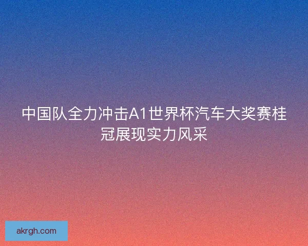 中国队全力冲击A1世界杯汽车大奖赛桂冠展现实力风采